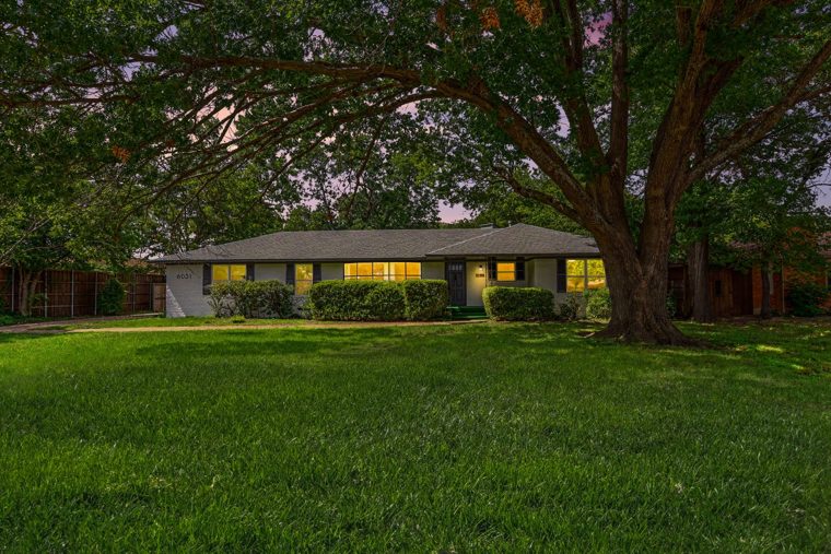 Front of the building shaded by a large oak tree